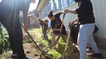 ILCL recupera huerto ecológico de la Escuela Ciudad de Berlín en marco de Proyecto de Fortalecimiento de la Vocación Docente
